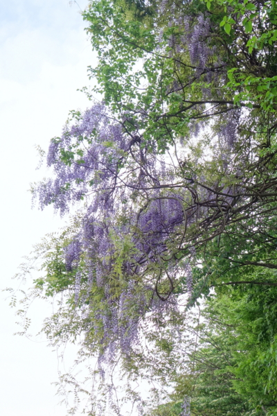 f:id:baumkuchen:20150504000318j:plain