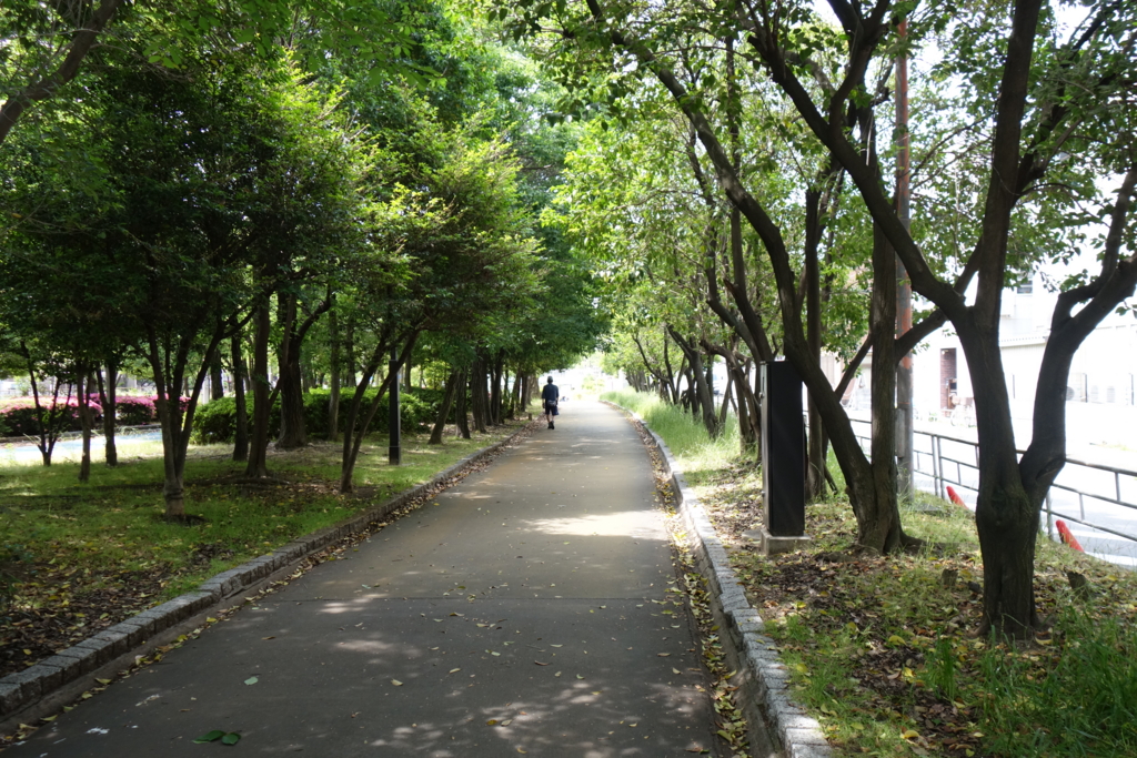 f:id:baumkuchen:20160608225651j:plain