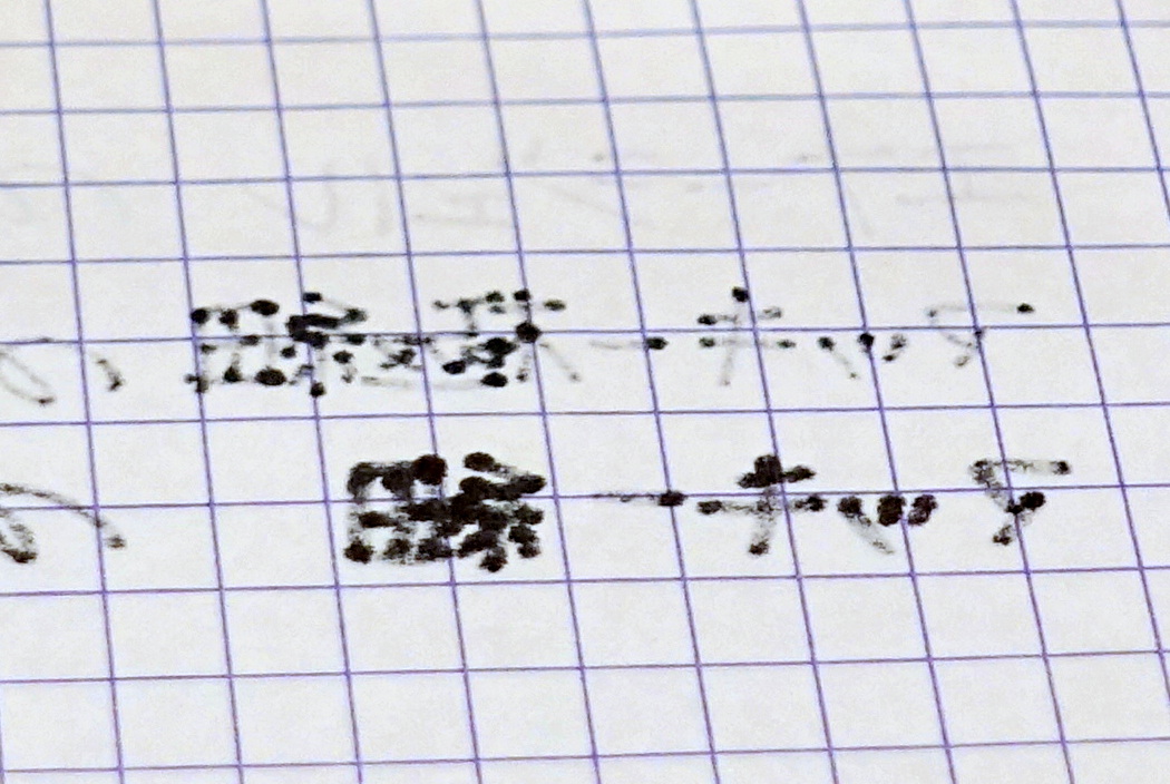 f:id:baumkuchen:20210211233930j:plain