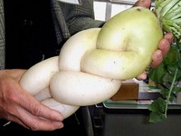 純情昭和女学生ダイコン(三つ編）