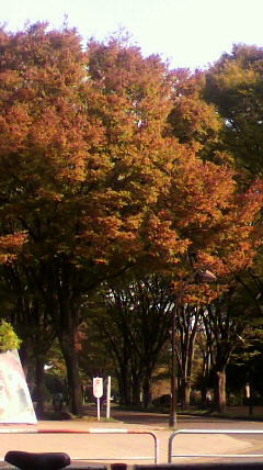 f:id:baunyan:20111024141358j:image f:id:baunyan:20111024141358j:image