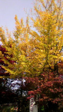 f:id:baunyan:20111128231727j:image f:id:baunyan:20111128231727j:image