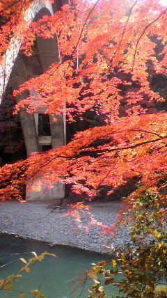 f:id:baunyan:20111128231731j:image f:id:baunyan:20111128231731j:image