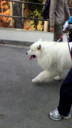 f:id:baunyan:20111128231733j:image f:id:baunyan:20111128231733j:image