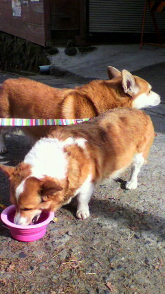 f:id:baunyan:20111128231736j:image f:id:baunyan:20111128231736j:image