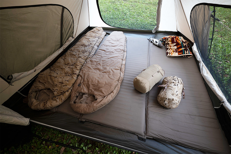 アルニカ サバティカル