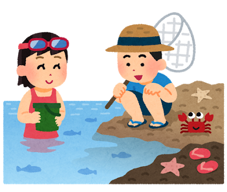 f:id:bayashipapa:20200221144626p:plain