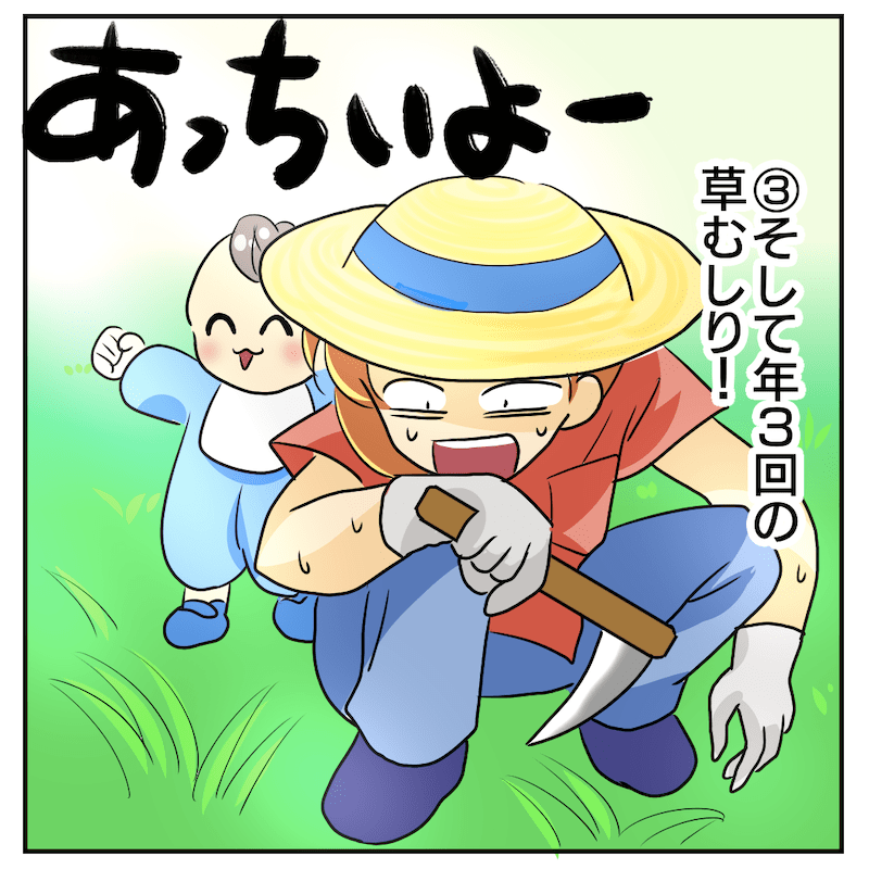 f:id:bayo_fantasy:20200909185250p:plain