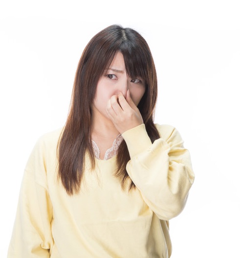 f:id:bazirugam:20190113112649j:plain:w300
