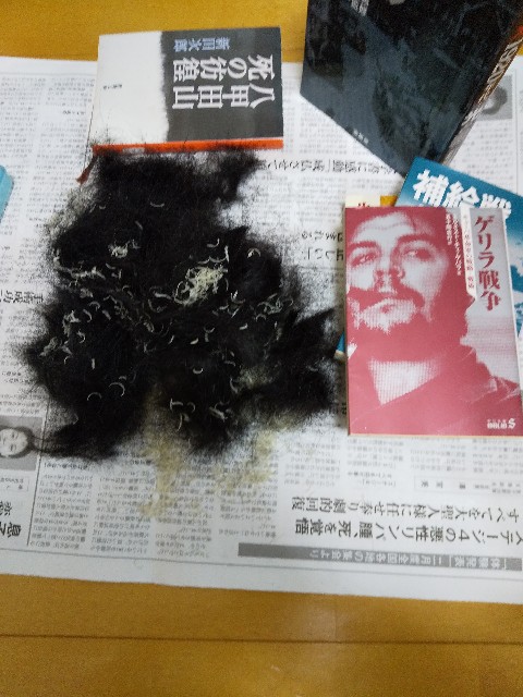 f:id:bb_is_watching_u:20210321222037j:image f:id:bb_is_watching_u:20210321222037j:image