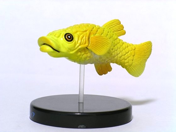 チチカカオレスティア 戦え絶滅動物フィギュアコレクション3 Sinpapa S Blog チチカカオレスティア 戦え絶滅動物フィギュアコレクション3 Sinpapa S Blog