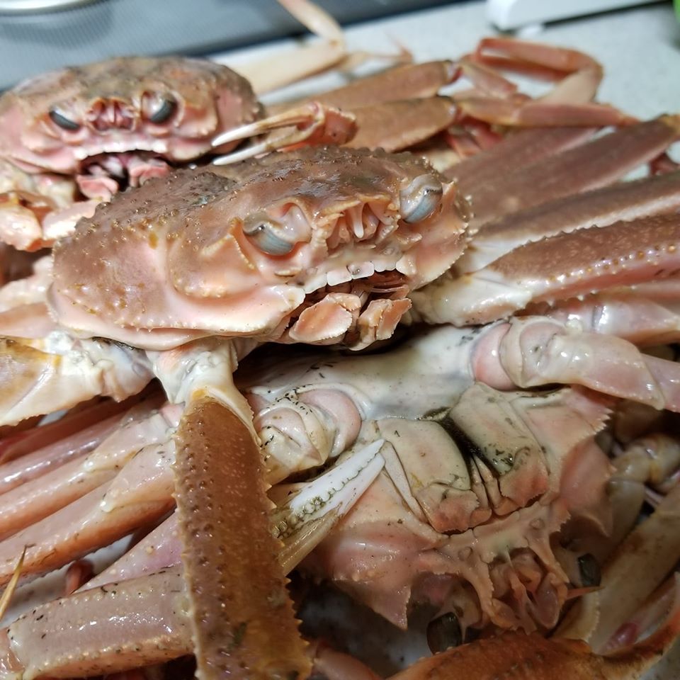 f:id:bb_sinpapa:20191128005933j:plain