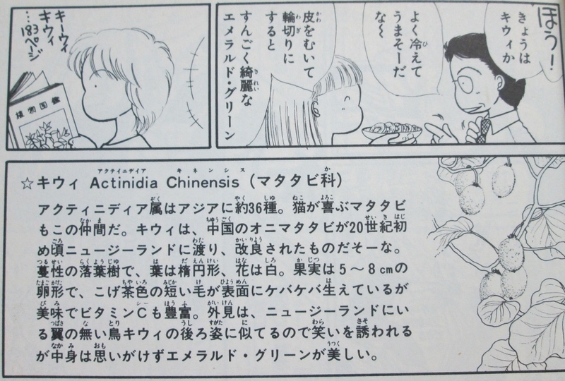 イメージ 3