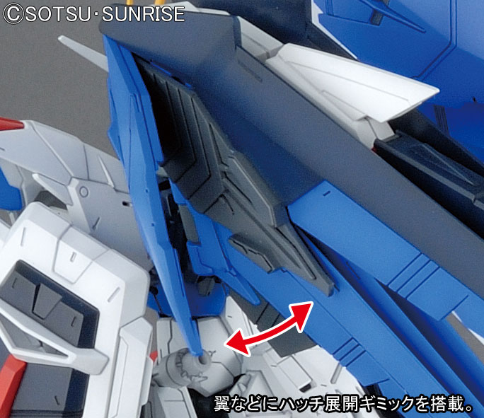 イメージ 15