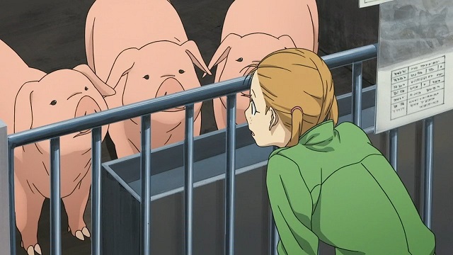 イメージ 8