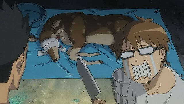 イメージ 18