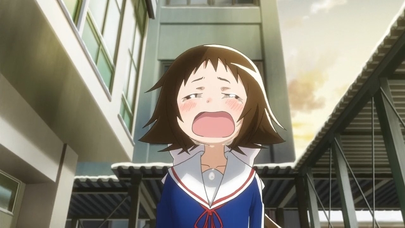 イメージ 16