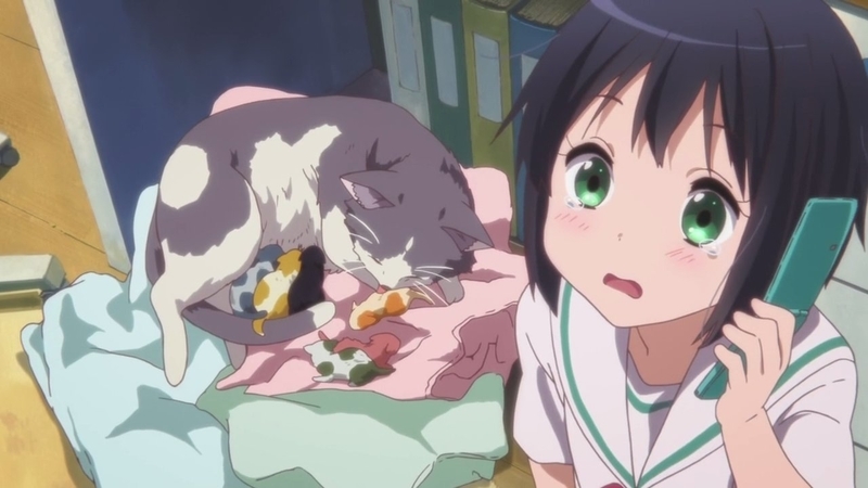イメージ 21