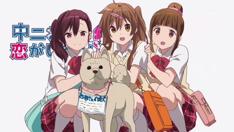 イメージ 15