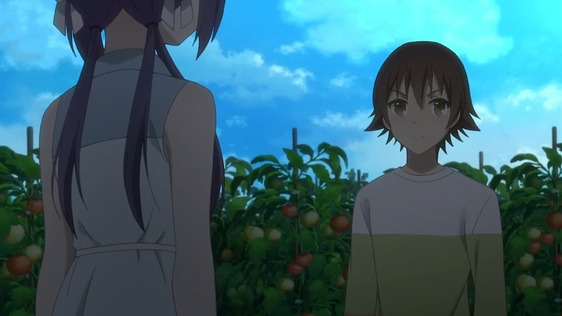 イメージ 18