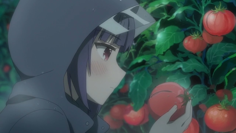 イメージ 14