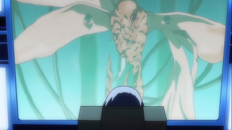 イメージ 14