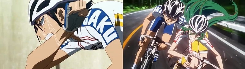 弱虫ペダル Ride29 山頂 Gno2及びgno3 連邦 情報部 こっそり日記 バックアップ