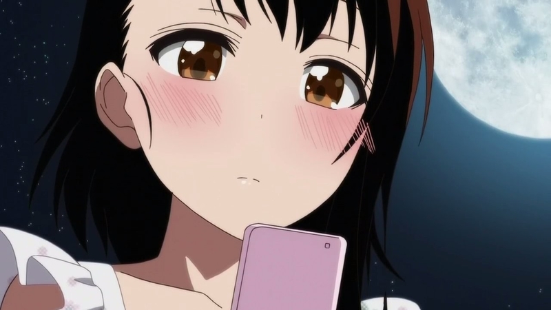 イメージ 15