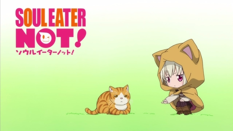 イメージ 10