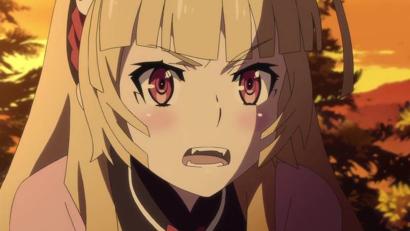 イメージ 6