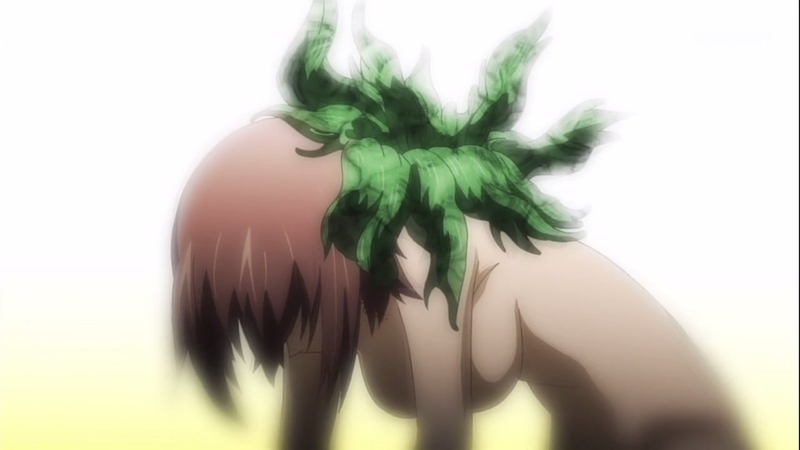 イメージ 14