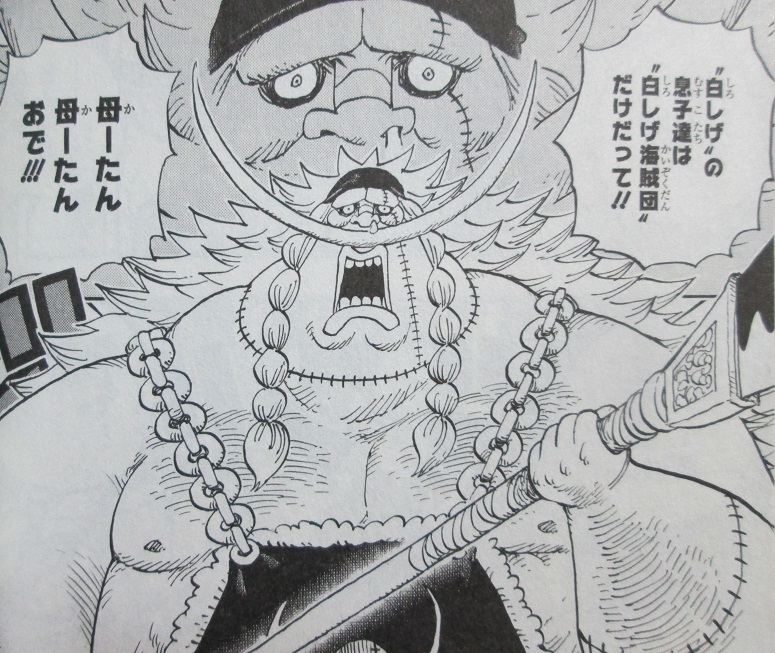 イメージ 10