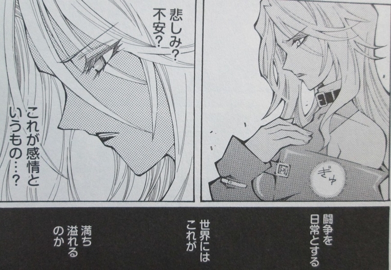 イメージ 10
