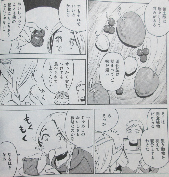 イメージ 11