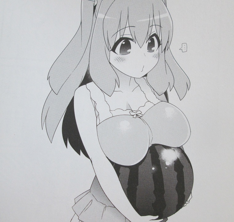 イメージ 10