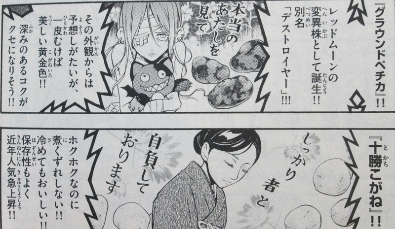 イメージ 11