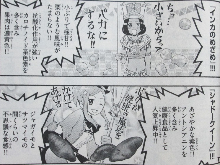 イメージ 9