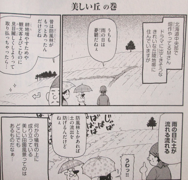 イメージ 8