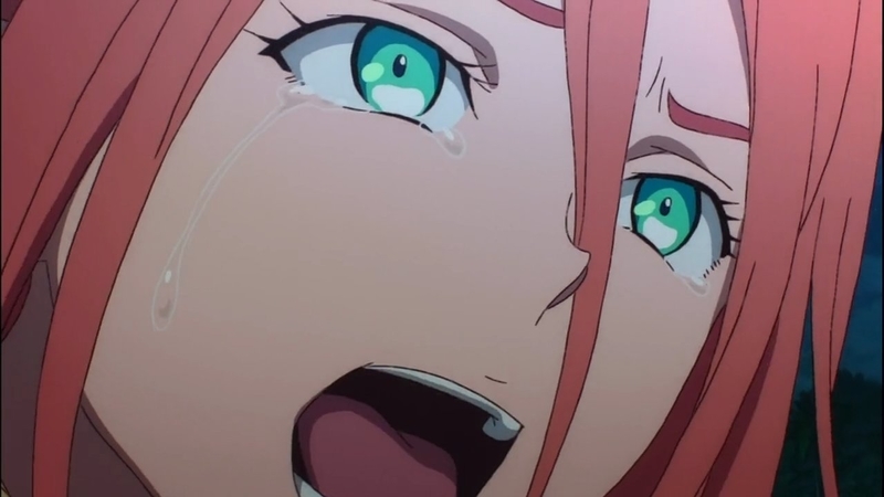 イメージ 23