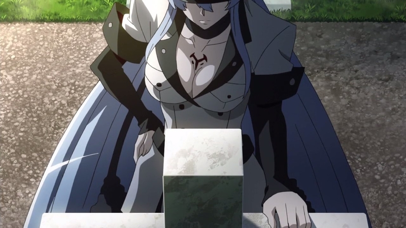 イメージ 9
