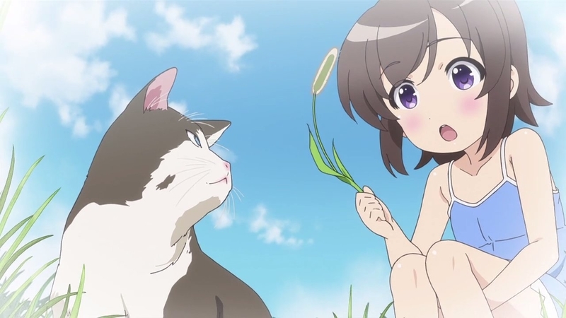 イメージ 13