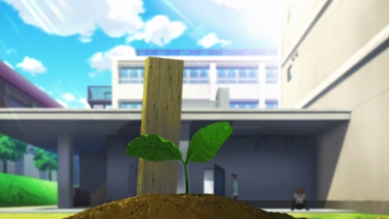 イメージ 22
