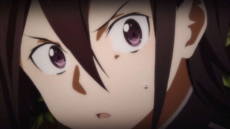 イメージ 11