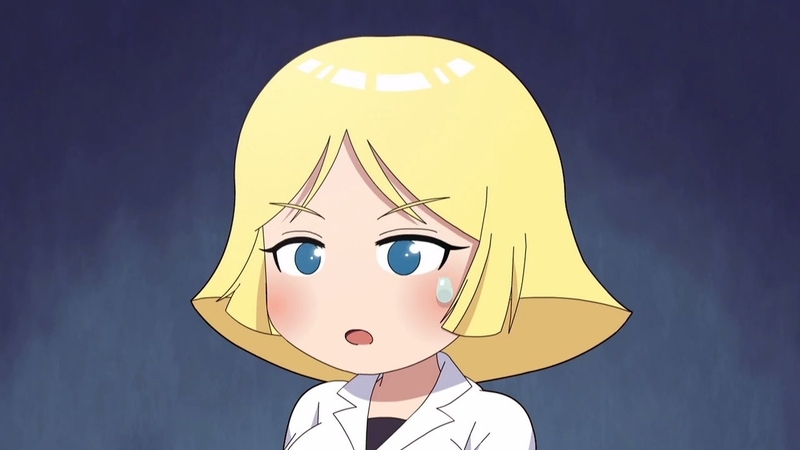 イメージ 14