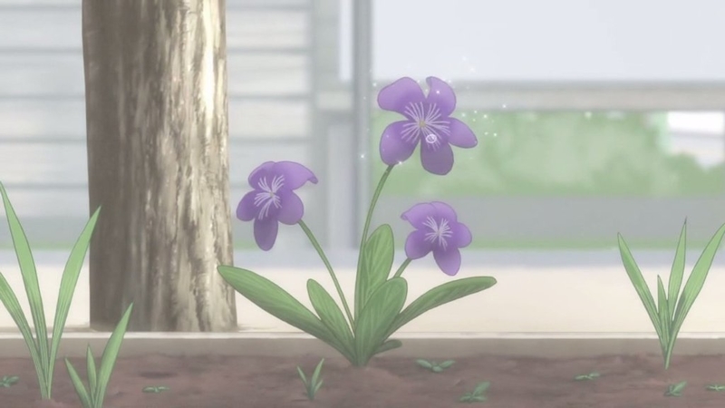 イメージ 6
