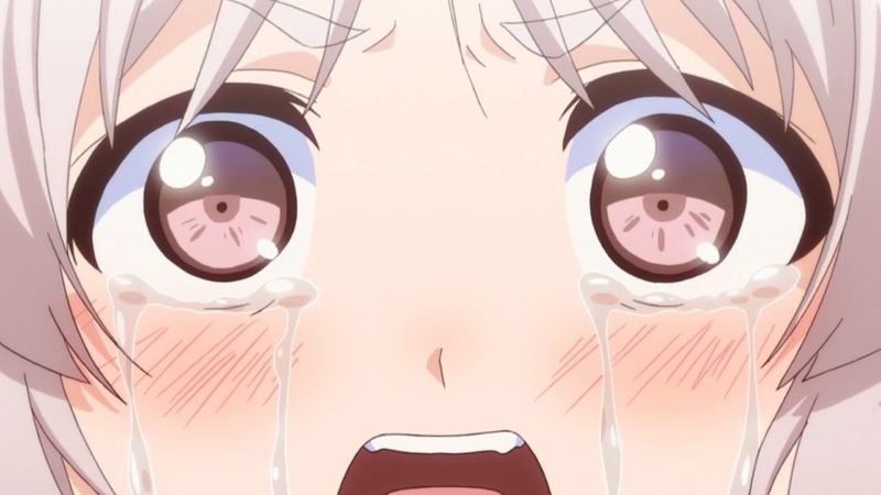 イメージ 13