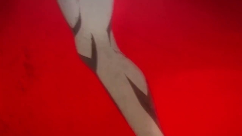 イメージ 15