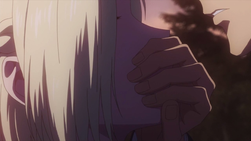 イメージ 8