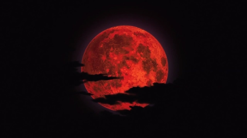 イメージ 11