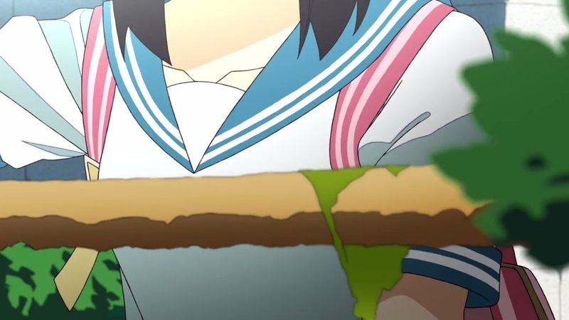 イメージ 10